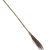 Witches Broom - 1.1M